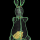 Illustration for article titled Scans Pierce To The Heart Of A Rocket Ship In Flight